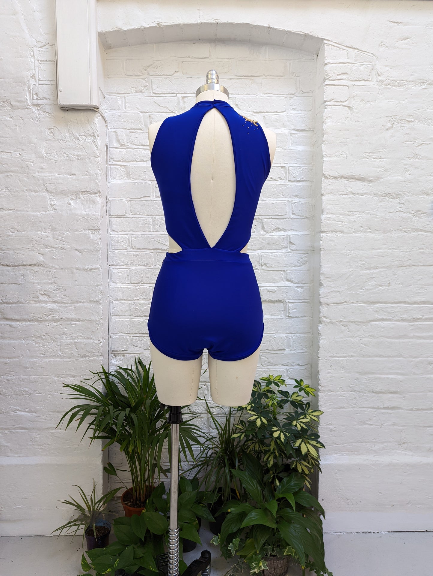 The Lyra Leotard