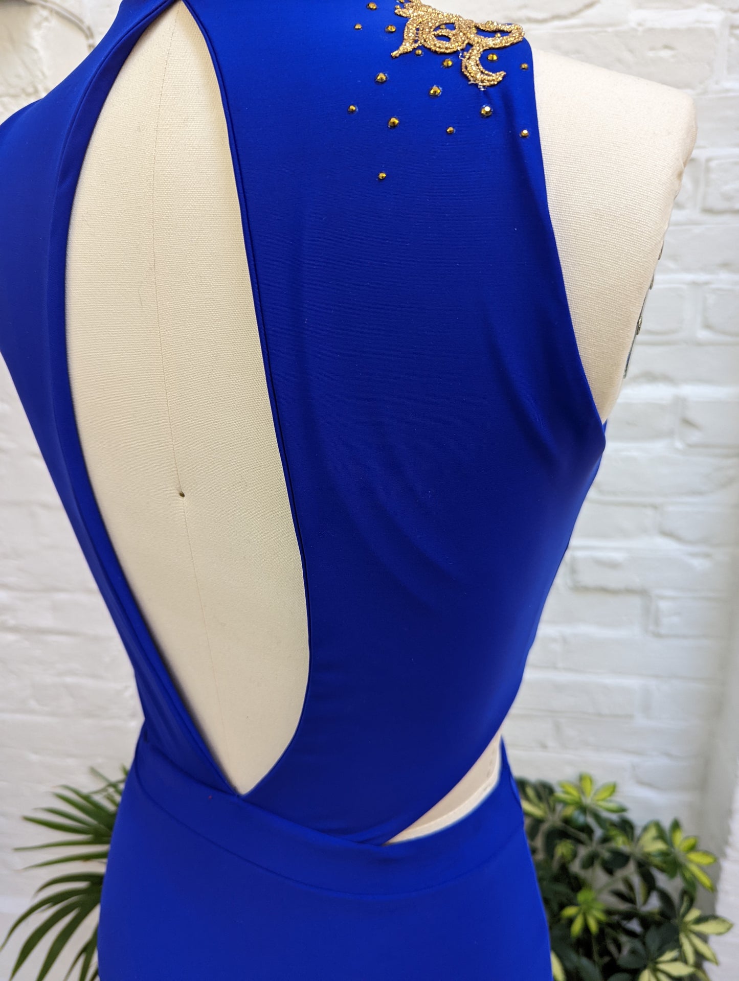 The Lyra Leotard